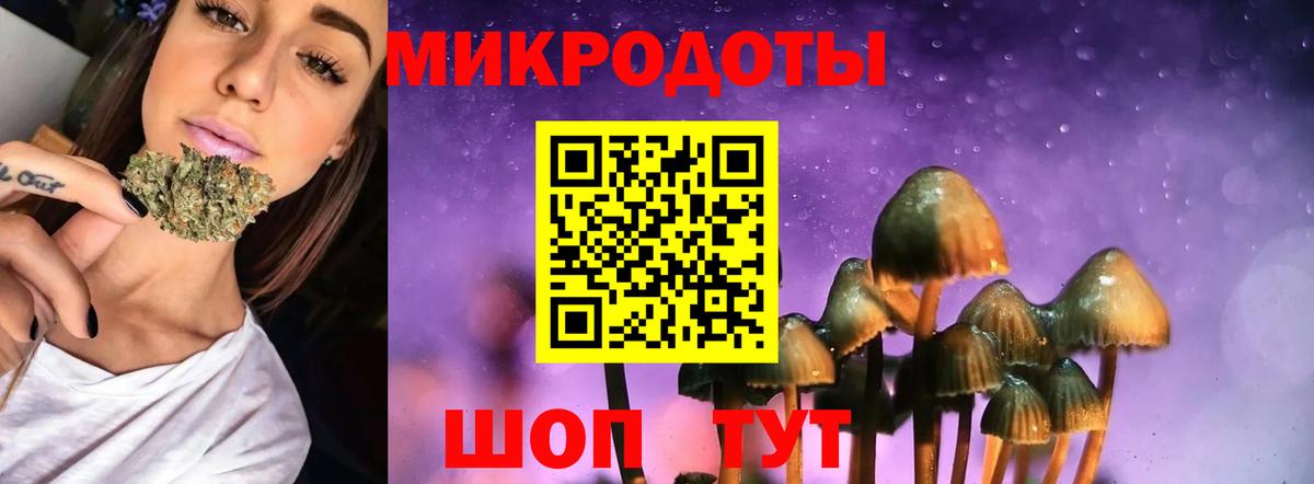 Мончегорск  Псилоцибиновые грибы MAGIC MUSHROOMS  Вход с VPN 