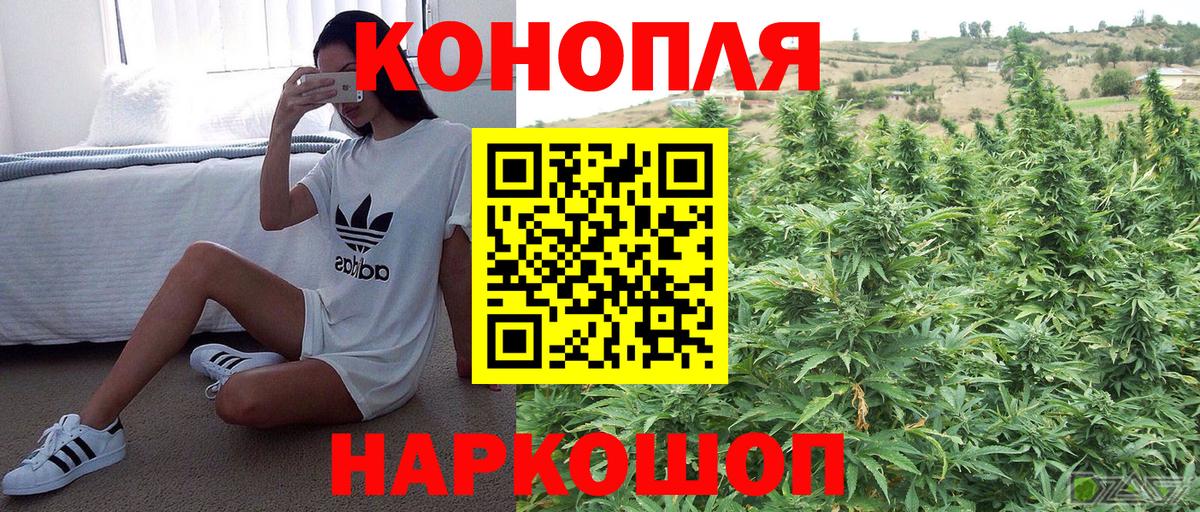 Каннабис индика  Бошки Шишки White Widow  Бошки Шишки AK-47  Конопля индика  Вход с VPN  Мончегорск 